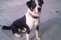 Quester_2012_03