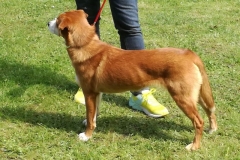 Ywi-von-der-Birkenheide_003