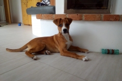 IMG-20190914-WA0014